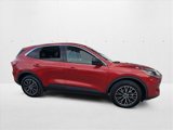 Used 2022 Ford Escape SE image 4