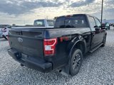 Used 2019 Ford F150 XLT w/ Equipment Group 302A Luxury image 2