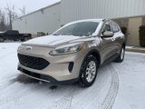 Used 2020 Ford Escape SE image 5