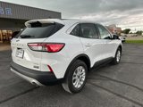 Used 2022 Ford Escape SE w/ Convenience Package image 3