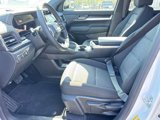 New 2025 GMC Terrain Elevation image 5