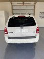 Used 2011 Ford Escape XLT image 3