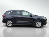 Used 2023 Ford Escape Active image 4