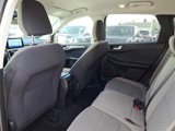 Certified 2021 Ford Escape SE w/ Convenience Package image 5