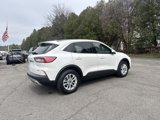 Used 2020 Ford Escape SE image 5
