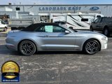 Used 2021 Ford Mustang Premium image 2