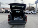 New 2025 Ford Escape ST-Line w/ Tech Pack #1 image 5