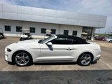 Used 2020 Ford Mustang Premium w/ Equipment Group 201A image 4