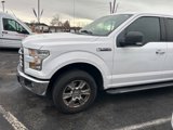 Used 2016 Ford F150 XLT w/ Equipment Group 302A Luxury image 2