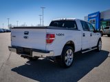 Used 2013 Ford F150 XLT w/ Luxury Equipment Group image 5