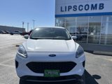 Used 2020 Ford Escape SE image 2