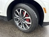 Certified 2023 Cadillac XT5 Sportv w/ Platinum Package image 3