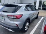 Used 2020 Ford Escape SE image 3