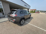 Used 2019 Jeep Cherokee Trailhawk w/ Comfort/Convenience Group image 3