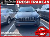Used 2018 Jeep Cherokee Trailhawk w/ Cold Weather Group image 2