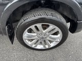 Used 2013 Ford F150 Limited image 4
