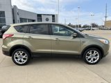 Used 2013 Ford Escape SEL image 3