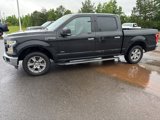 Used 2015 Ford F150 XLT w/ Equipment Group 302A Luxury image 4