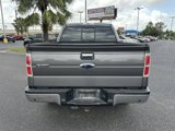 Used 2013 Ford F150 XLT w/ Luxury Equipment Group image 5