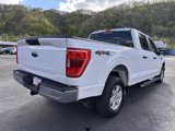 Used 2023 Ford F150 XLT image 4