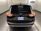 Used 2020 Ford Escape SE Sport image 5
