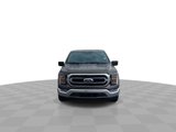 Used 2021 Ford F150 XLT w/ Equipment Group 302A High image 3