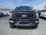Used 2021 Ford F150 XLT w/ Equipment Group 302A High image 2