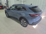 Certified 2024 Ford Escape Platinum image 4