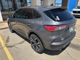 Used 2022 Ford Escape SE w/ SE Sport Appearance Package image 2