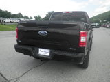 Used 2019 Ford F150 XLT w/ Equipment Group 302A Luxury image 6