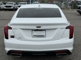 Used 2020 Cadillac CT5 Luxury w/ Cold Weather Package image 4