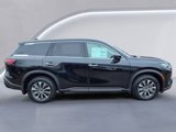New 2025 INFINITI QX60 Pure image 3