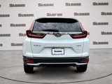Used 2020 Honda CR-V EX-L image 4