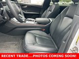 Used 2019 Audi Q8 Premium Plus w/ Premium Plus image 3