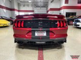 Used 2021 Ford Mustang GT Premium w/ Equipment Group 401A image 4