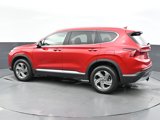 Used 2022 Hyundai Santa Fe SEL w/ Convenience Package image 4