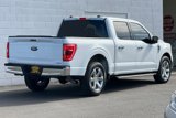 Certified 2021 Ford F150 XLT w/ Equipment Group 302A High image 3