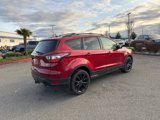 Used 2017 Ford Escape SE w/ Equipment Group 201A image 5