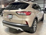 Used 2020 Ford Escape Titanium image 2