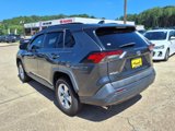 Used 2019 Toyota RAV4 XLE image 3