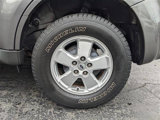 Used 2010 Ford Escape XLT image 6