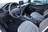 Certified 2022 Ford Escape SE w/ SE Sport Appearance Package image 3