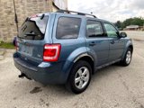 Used 2012 Ford Escape XLT image 4