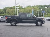 Used 2011 Ford F150 XLT w/ XLT Chrome Pkg image 3