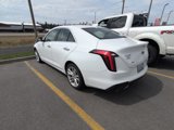Used 2020 Cadillac CT4 Luxury w/ Bose Premium Audio Package image 3