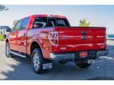 Used 2013 Ford F150 XLT w/ Luxury Equipment Group image 5