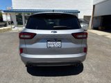 Used 2024 Ford Escape ST-Line w/ Equipment Group 301A image 4