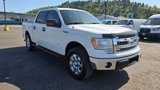 Used 2014 Ford F150 XLT w/ Equipment Group 302A Luxury image 3