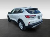 Used 2020 Ford Escape SE image 6