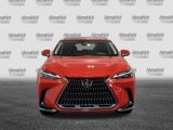 New 2025 Lexus NX 250 FWD w/ Premium Package image 5